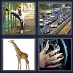 4 fotos 1 palabra jirafa
