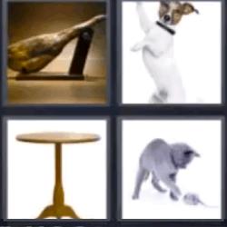 4 fotos 1 palabra mesa redonda perro gato