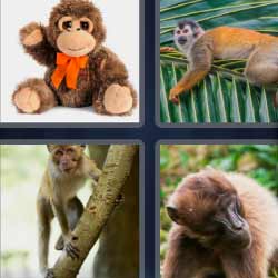 4 fotos 1 palabra monos